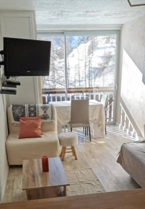La Foux d'Allos : Studio Cosy au pied des pistes vue montagne